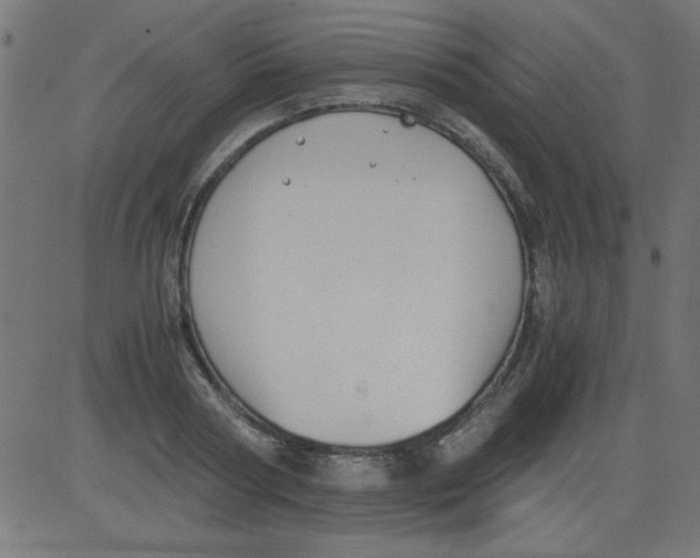 X0000081290794200702012243