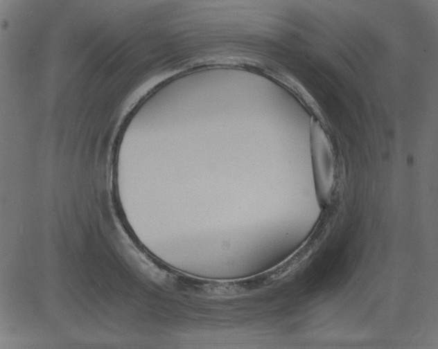 X0000081290795200702012243