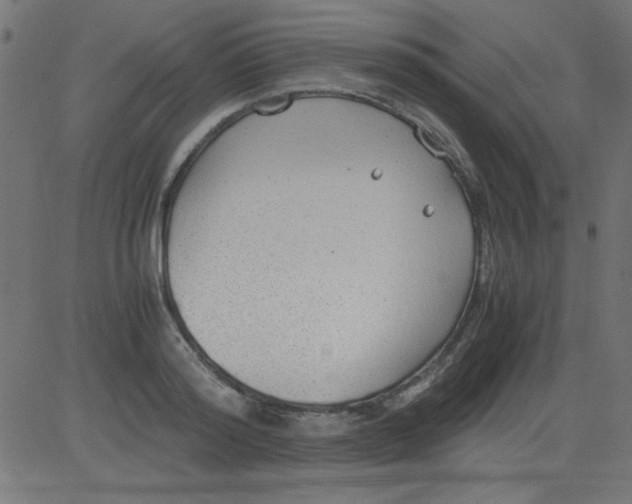 X0000081290796200702012243