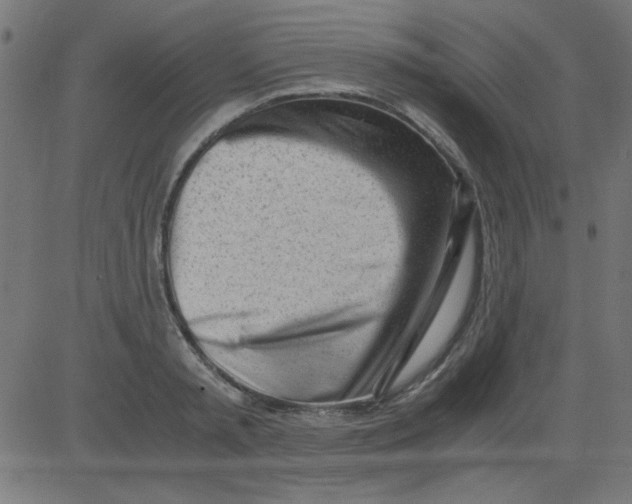 X0000081290797200702012243