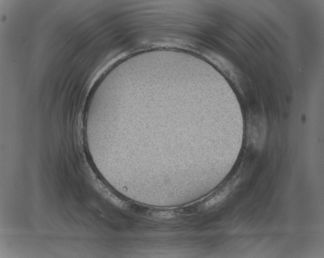 X0000081290798200702012243