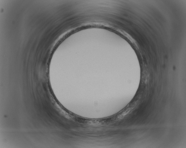 X0000081290799200702012243