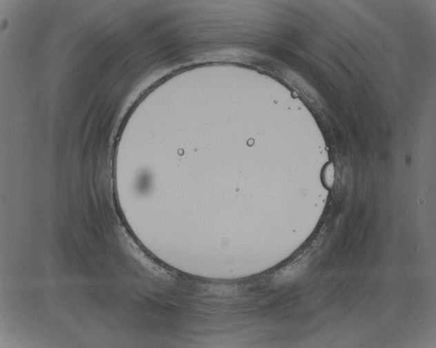 X0000081290800200702012243