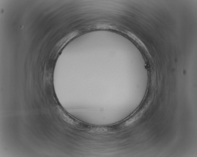 X0000081290801200702012243