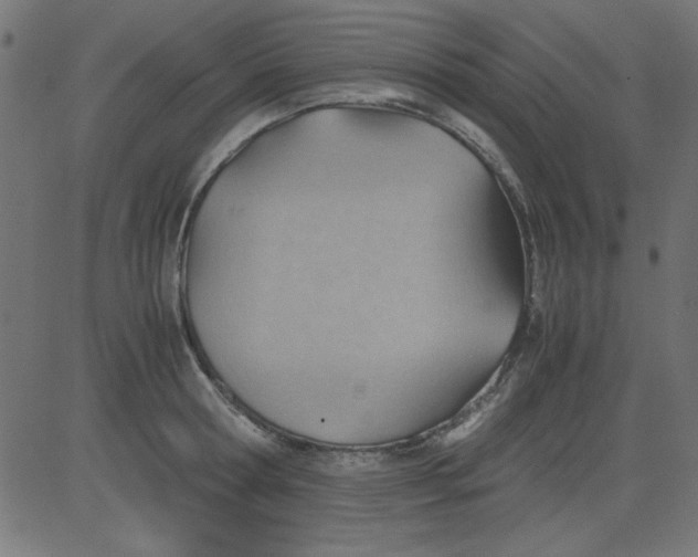 X0000081290802200702012243