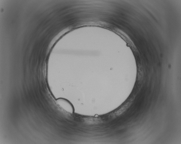 X0000081290804200702012243