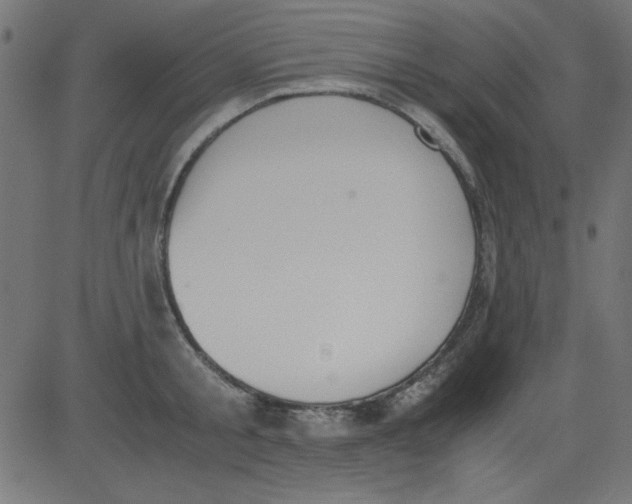 X0000081290805200702012243