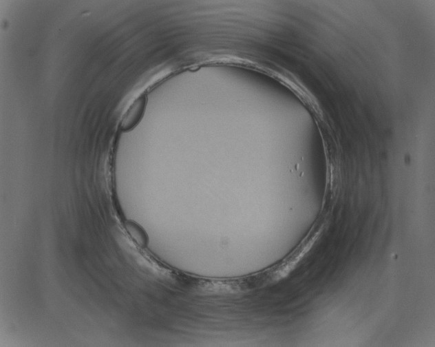 X0000081290806200702012243