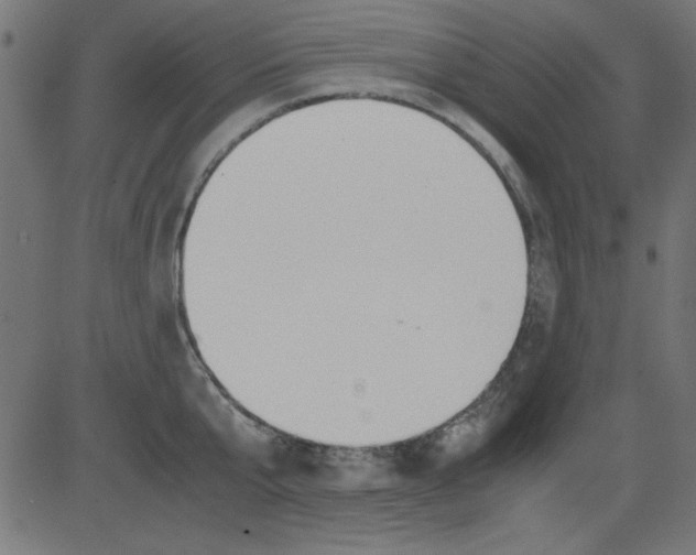 X0000081290807200702012243