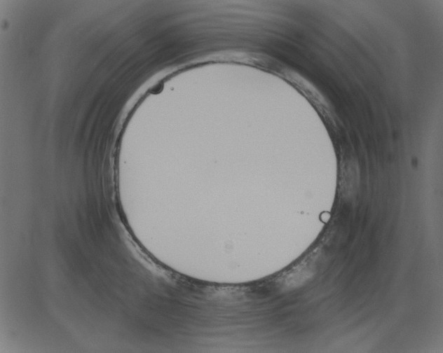 X0000081290808200702012243