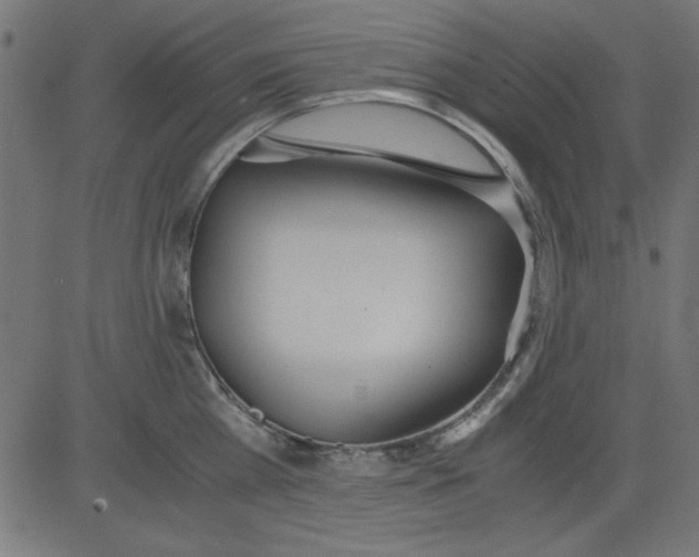 X0000081290809200702012243