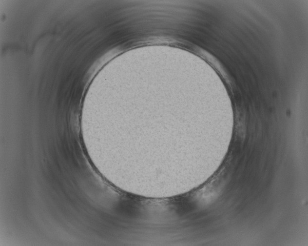 X0000081290810200702012243