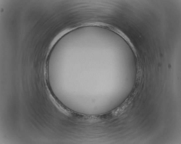 X0000081290811200702012243