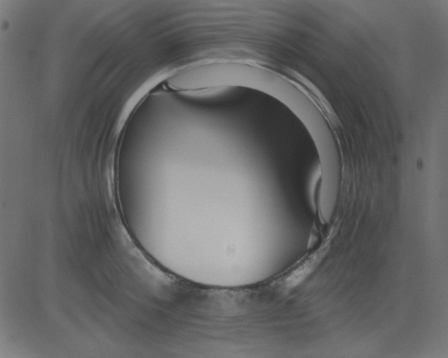 X0000081290812200702012243