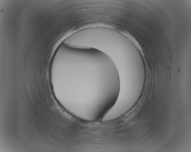 X0000081290813200702012242