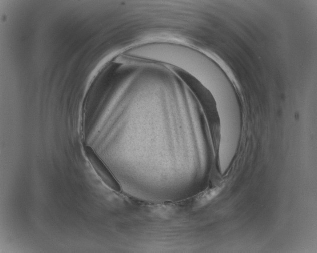 X0000081290815200702012242