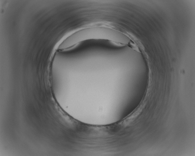 X0000081290816200702012242