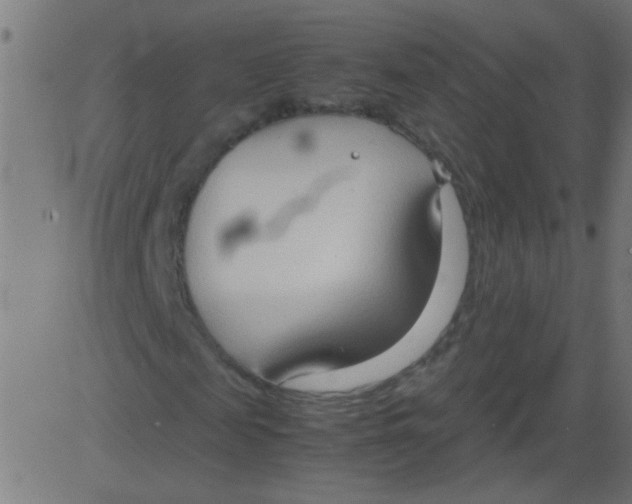 X0000081290817200702012242