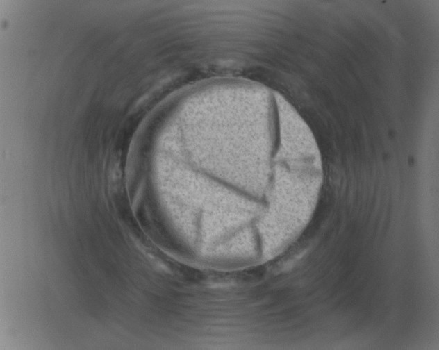 X0000081290818200702012242