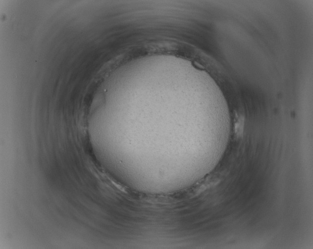 X0000081290819200702012242