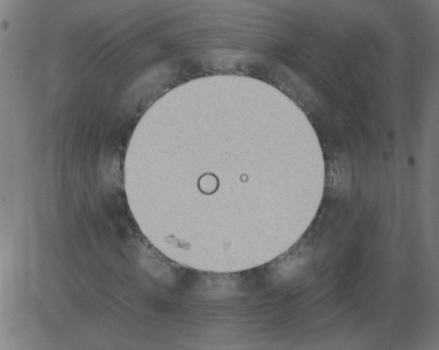 X0000081290820200702012242