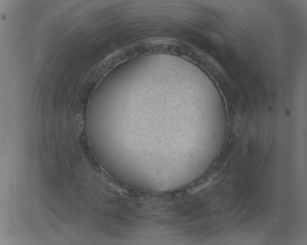 X0000081290821200702012242