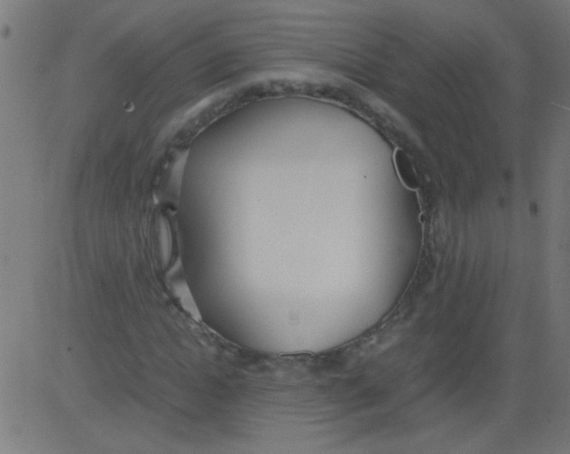 X0000081290822200702012242