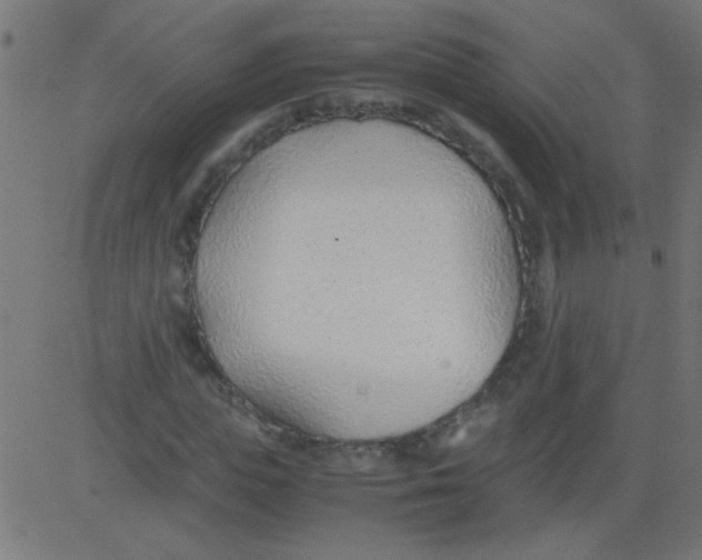 X0000081290823200702012242