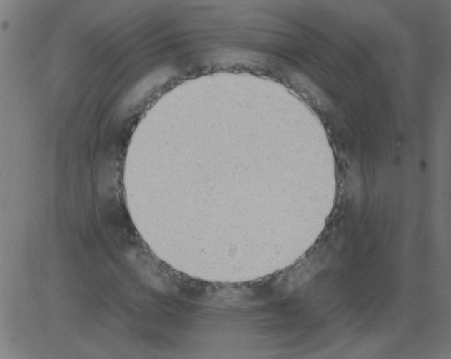 X0000081290824200702012242