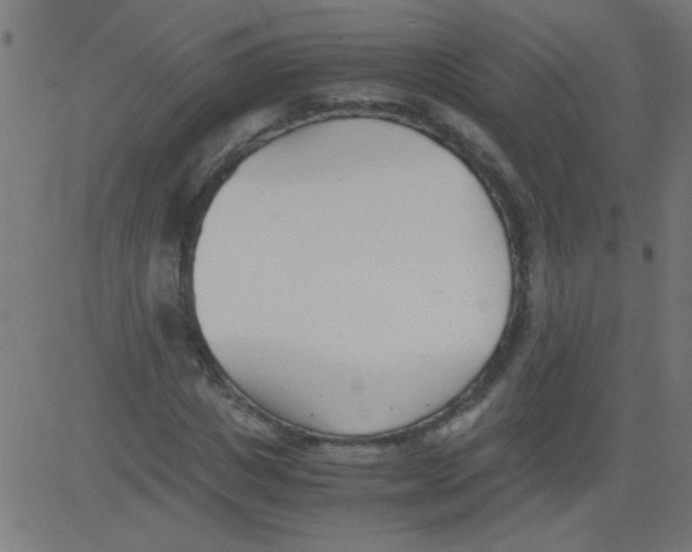 X0000081290825200702012242