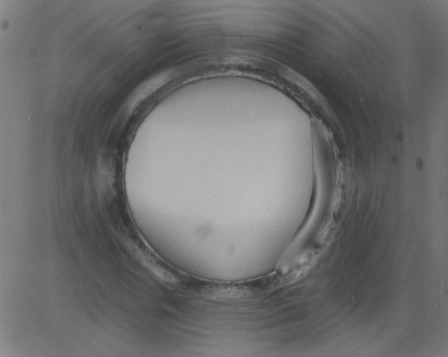 X0000081290826200702012242