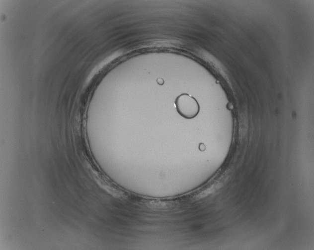 X0000081290827200702012242