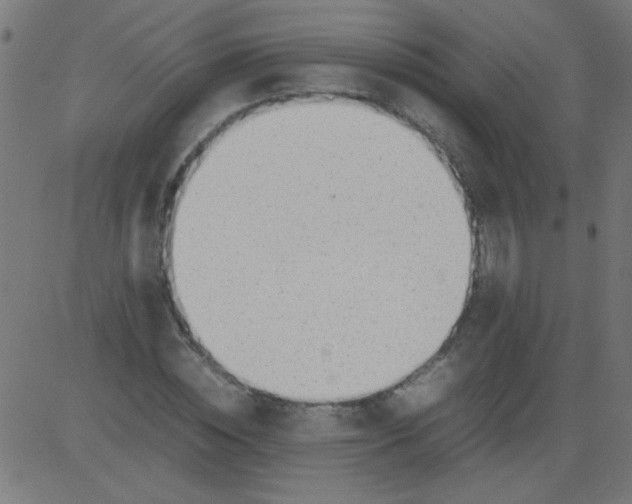 X0000081290828200702012242