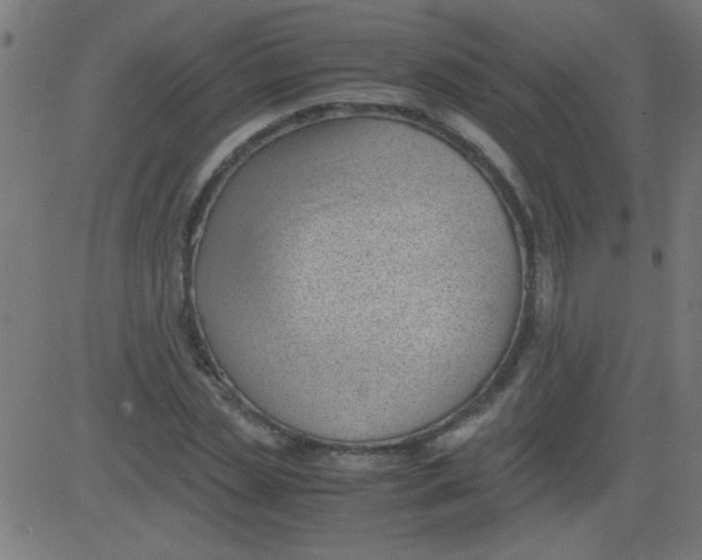 X0000081290829200702012242