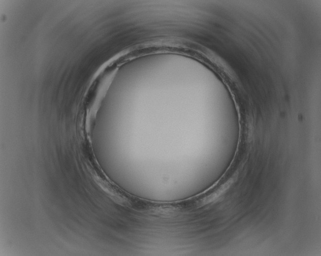 X0000081290830200702012242