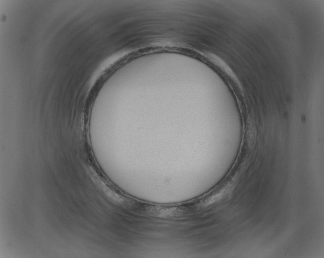 X0000081290831200702012242