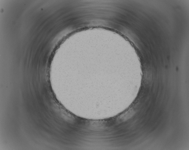 X0000081290832200702012242