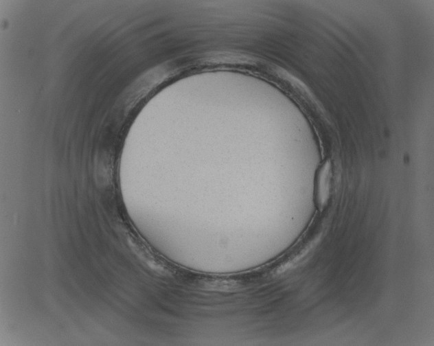 X0000081290833200702012242