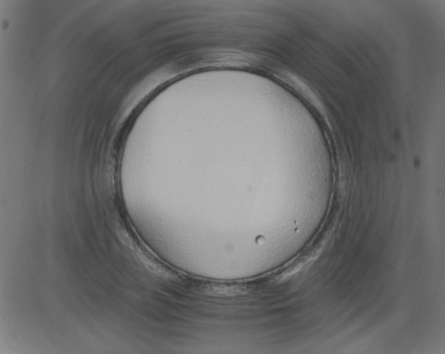 X0000081290835200702012242