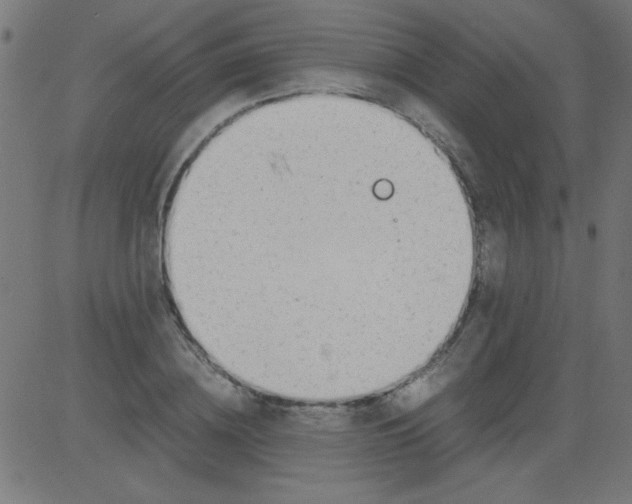 X0000081290836200702012242