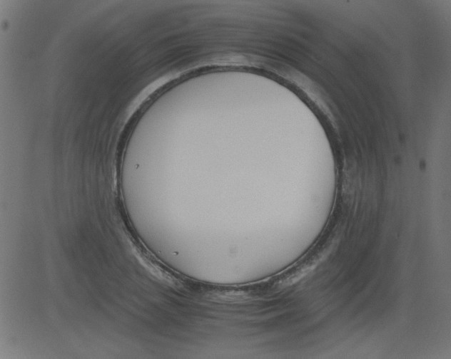 X0000081290837200702012242