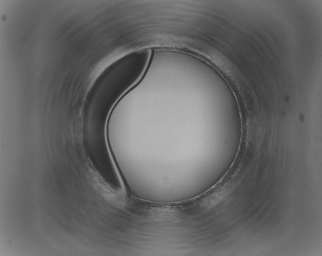 X0000081290838200702012242