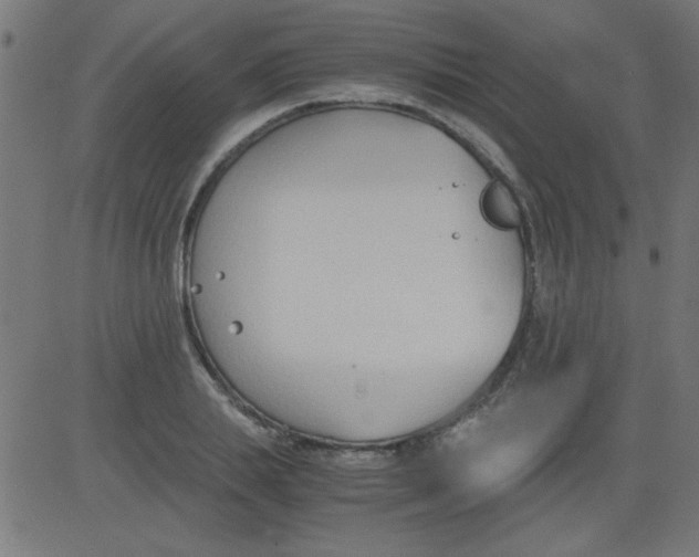 X0000081290839200702012242