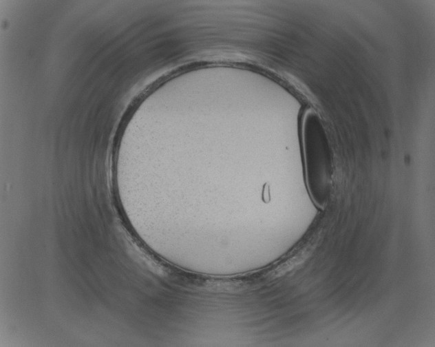 X0000081290840200702012242