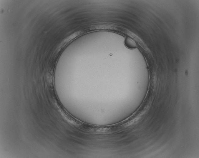 X0000081290841200702012242