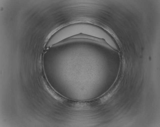 X0000081290842200702012242