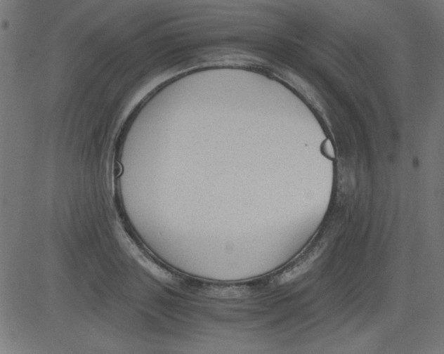 X0000081290843200702012242