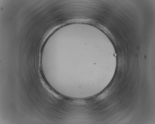 X0000081290844200702012242