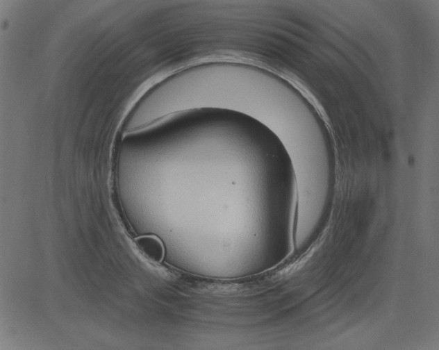 X0000081290845200702012242