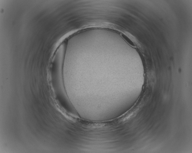 X0000081290846200702012242